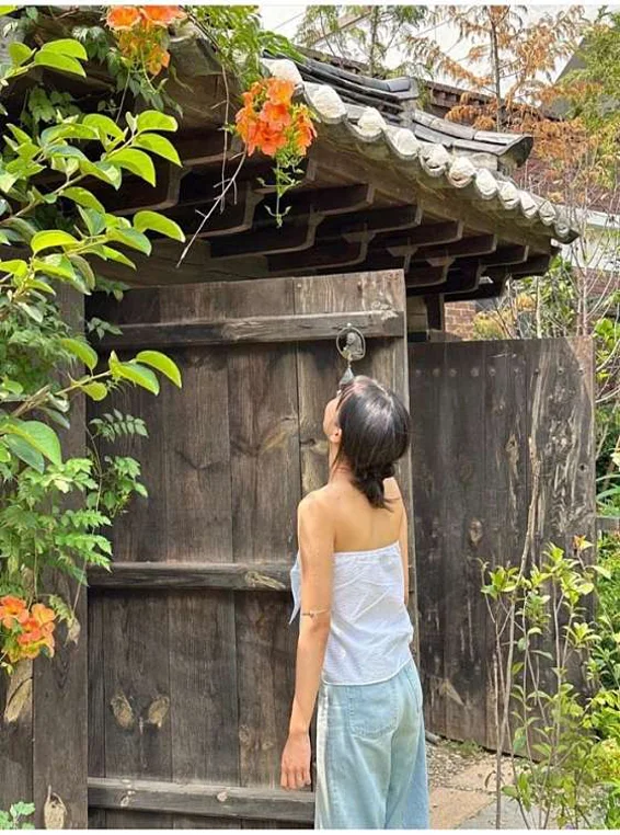 둔율담