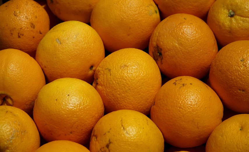 눈에 좋은 음식 사진3