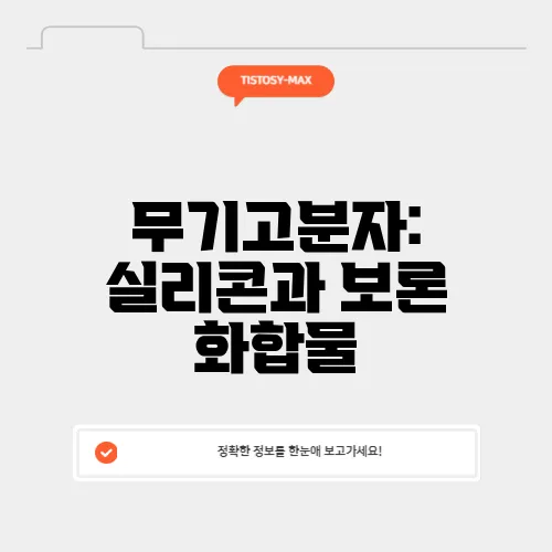 무기고분자: 실리콘과 보론 화합물