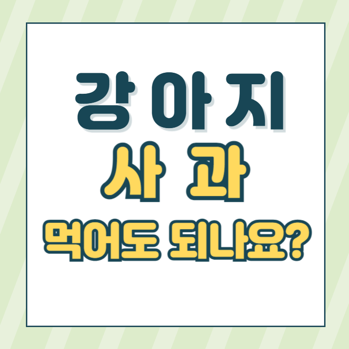 강아지 사과 간식