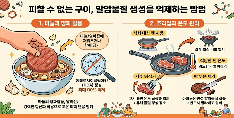 발암물질-생성을-억제하는-방법