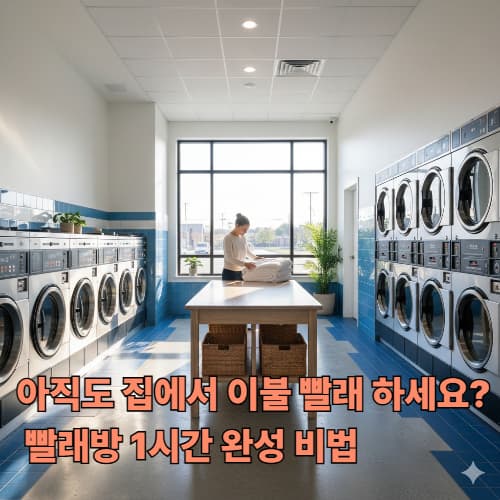 코인 빨래방 200% 활용법: 대형 이불부터 운동화까지 1시간 컷
