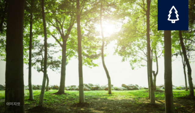 서울 은평구 역촌동 동부 센트레빌 아스테리움 시그니처 23년 3월 분양