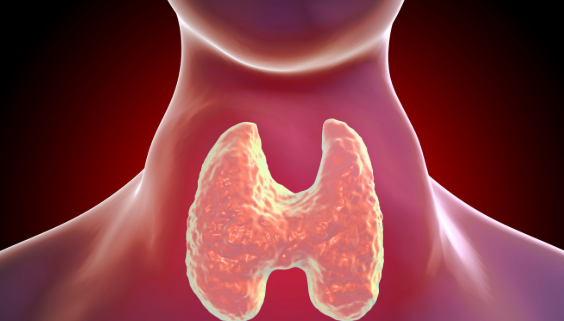 근육통이 보내는 질병 신호