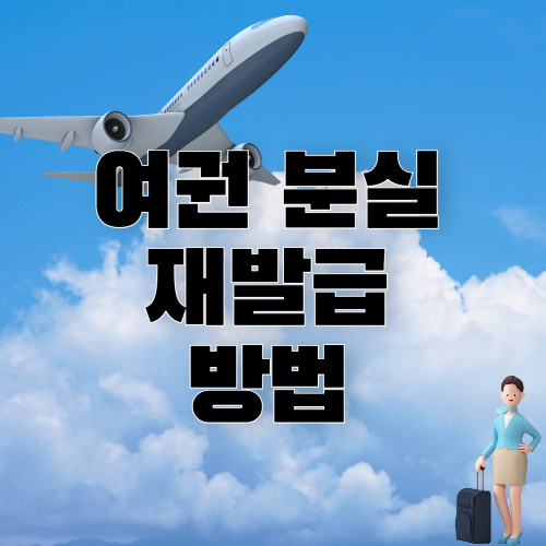 여권분실재발급