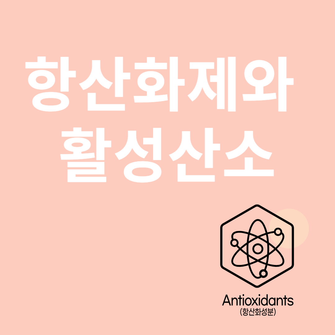 항산화제와 관련된 이미지