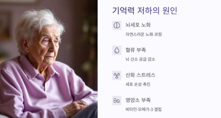 중장년을 위한 기억력 강화 식단