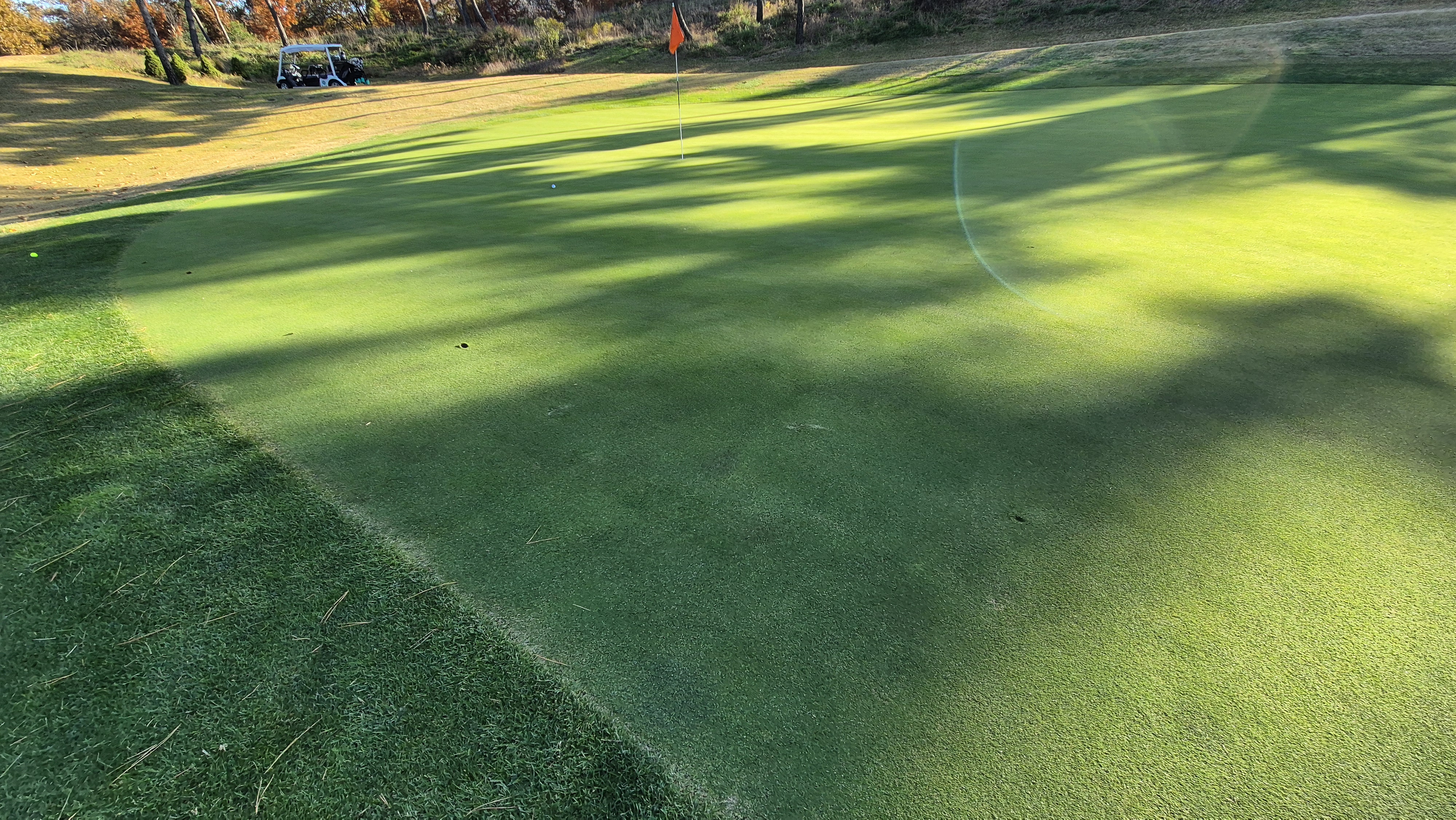 레이캐슬cc 그린관리상태