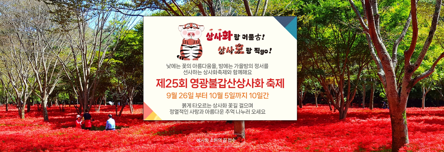 영광 불갑사 상사화꽃 축제 개요