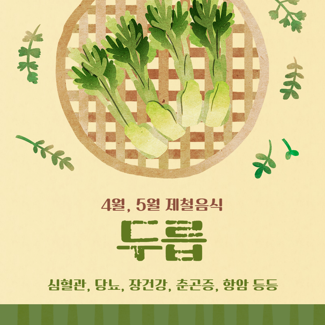 두릅 효능과 손질법 보관법