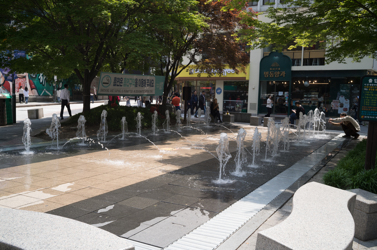 [라이카 M11] 점심 명동 산책