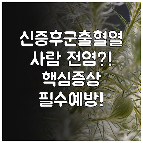 신증후군출혈열 전염 여부와 주요 증상..