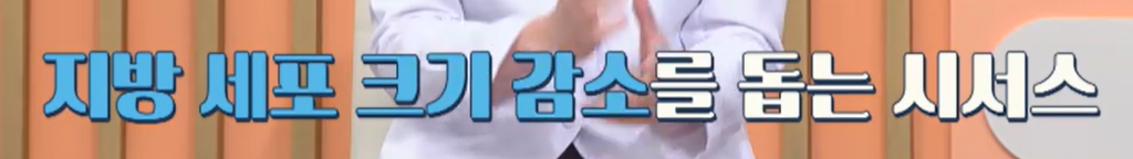 시서스 효능