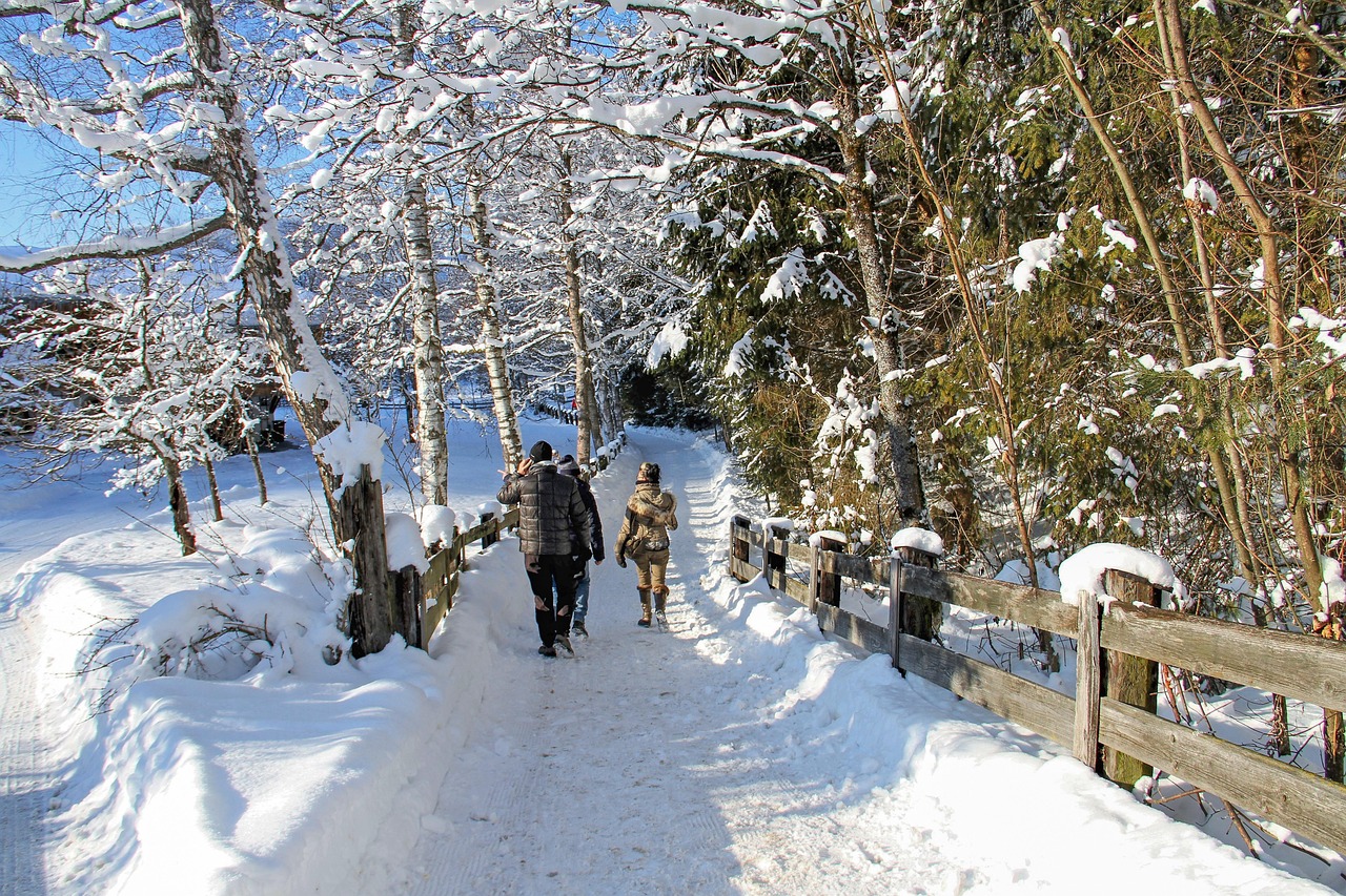 눈 쌓인 산책로 관련 사진