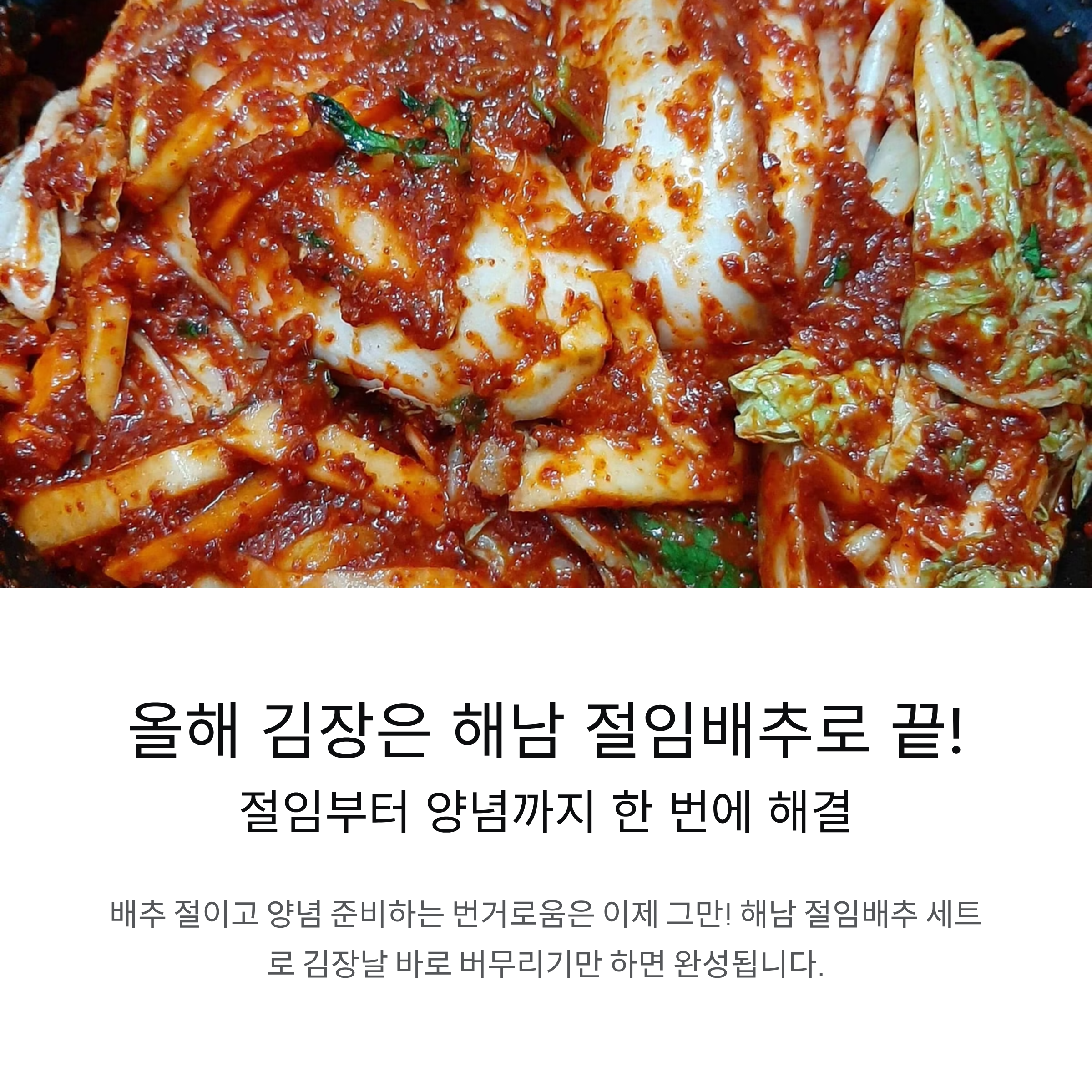 해남 절임배추와 전라도식 김치양념 세트로 김장 준비 끝!