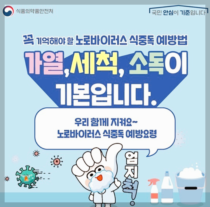 노로바이러스 원인, 증상, 현황, 예방 및 대응