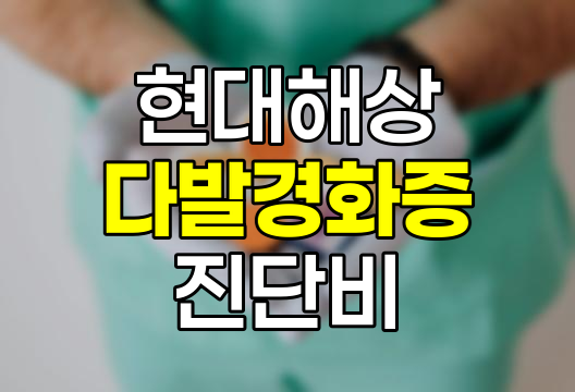 현대해상 다발경화증 진단비 심층 분석