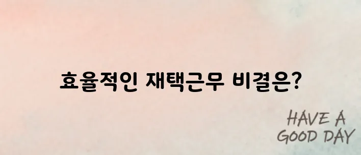 재택근무 필수템 BEST 7 추천