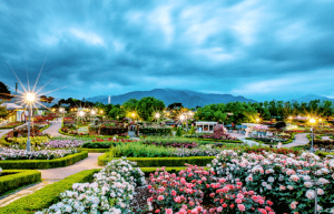 2024 곡성 세계 장미축제
