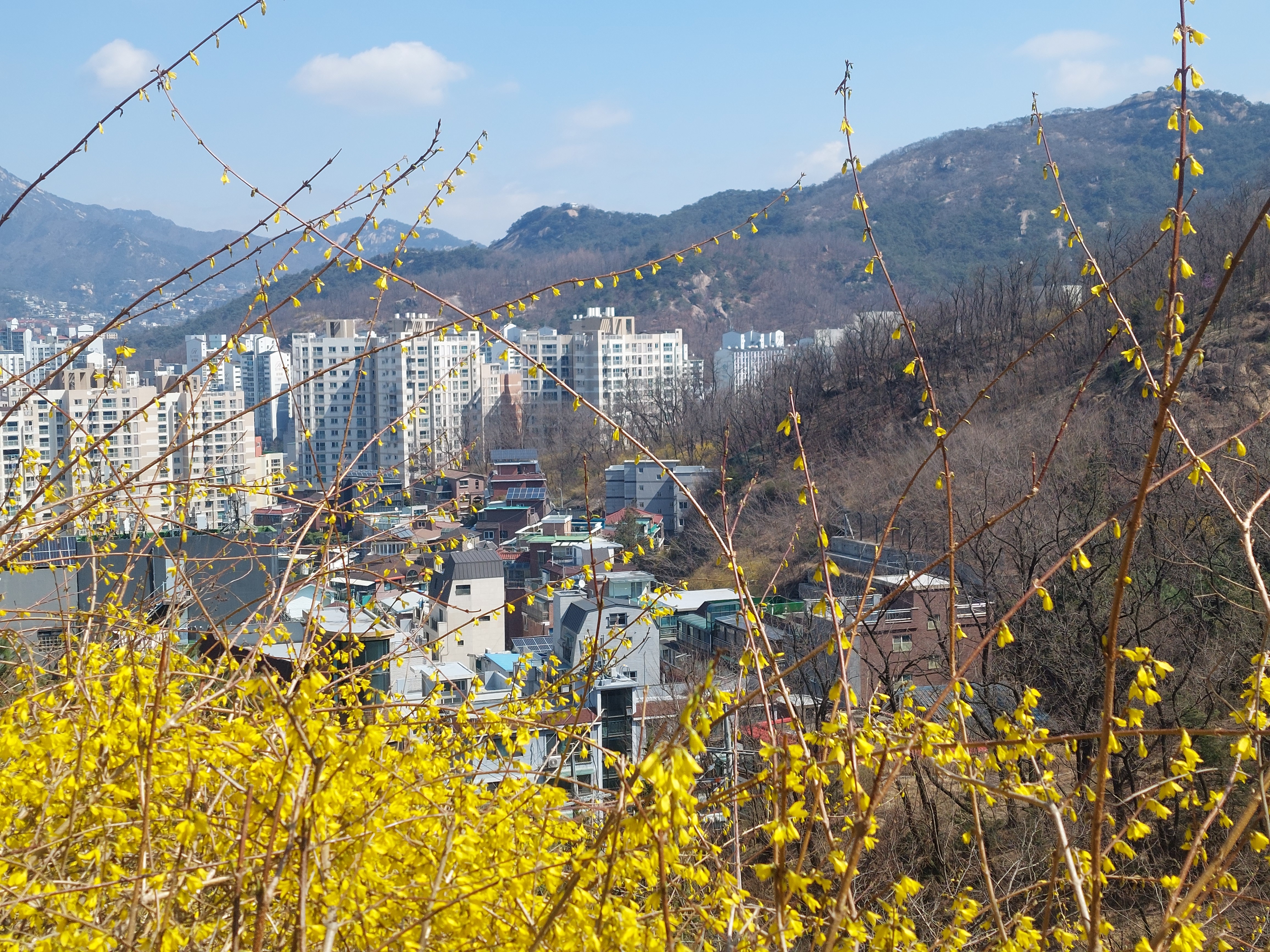 안산