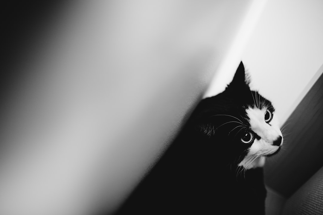 Tuxedo
