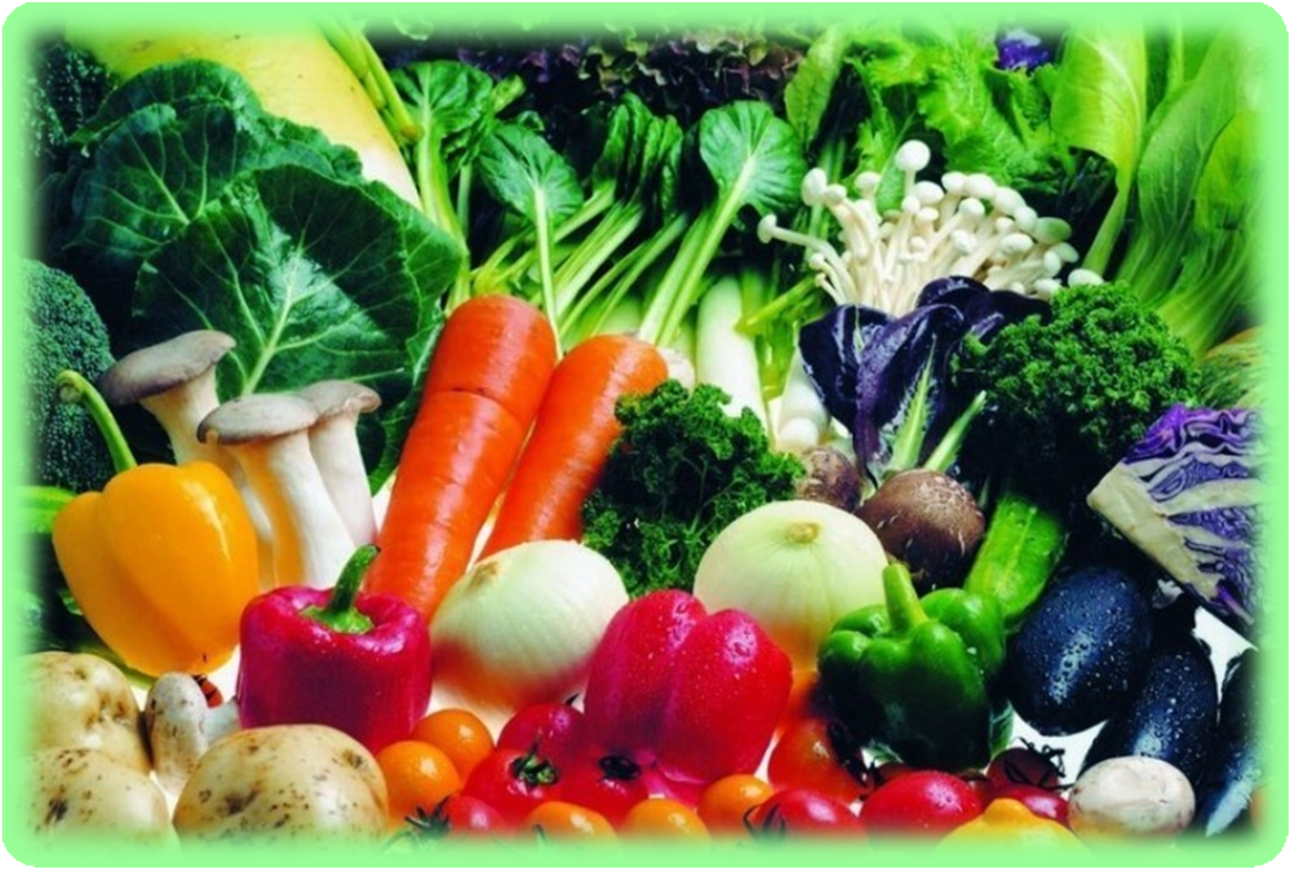 생채식으로 식단짜기