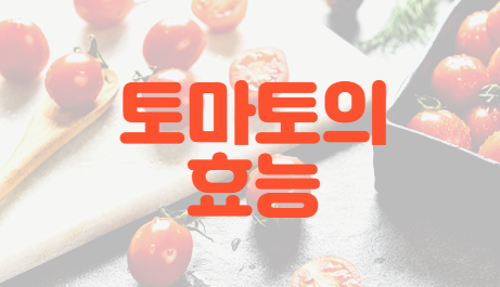 토마토의 효능
