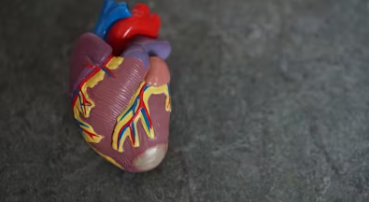 기립성 저혈압 증상 치료 원인 기립성 어지럼증 빈혈