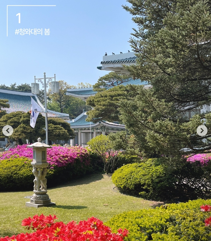 청와대 관람 신청