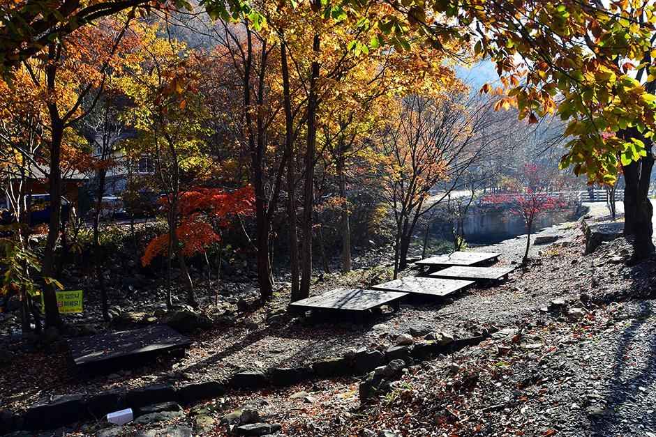 금산산림문화타운