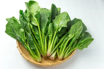 LDL 관리에 좋은 식품