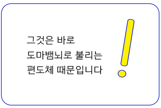 문장 '그것은 바로 도마뱀뇌로 불리는 편도체 때문입니다' 이미지
