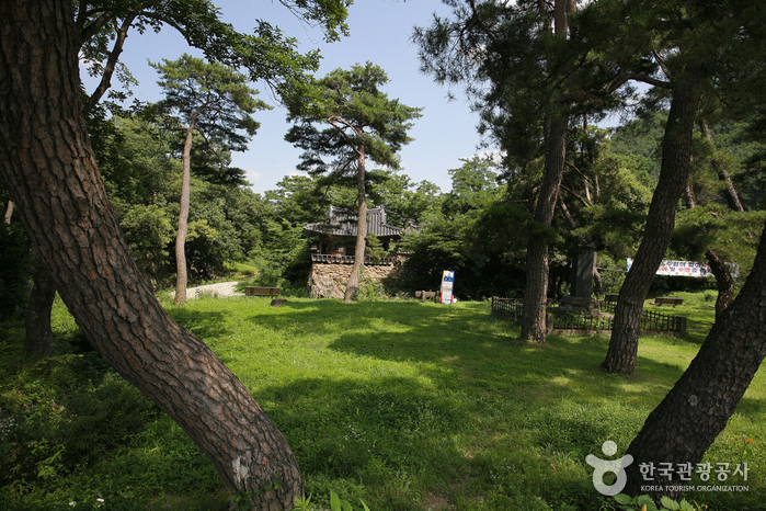 예천 가볼만한곳 베스트10