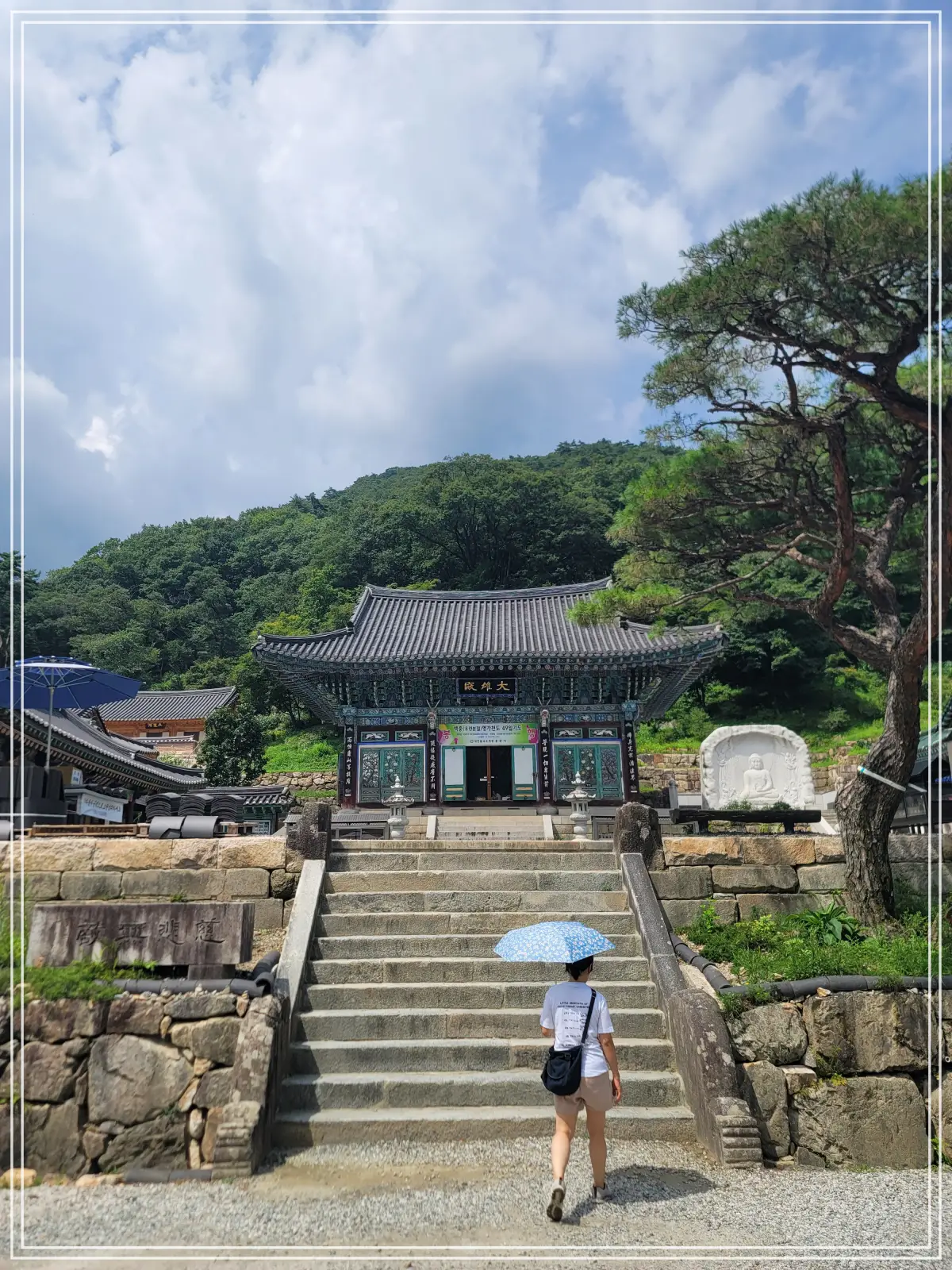 용문사-20250808_140001