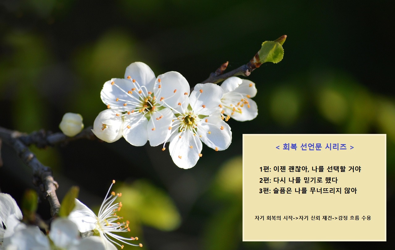 슬픔은 나를 무너뜨리지 않아, 회복 선언문 시리즈 3편