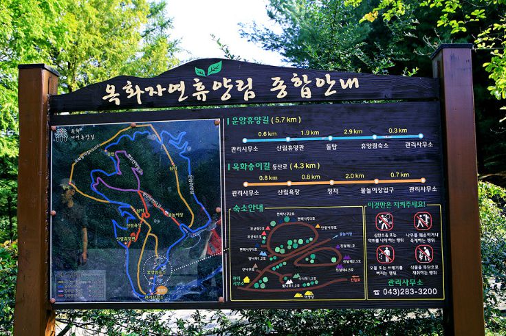 옥화자연휴양림