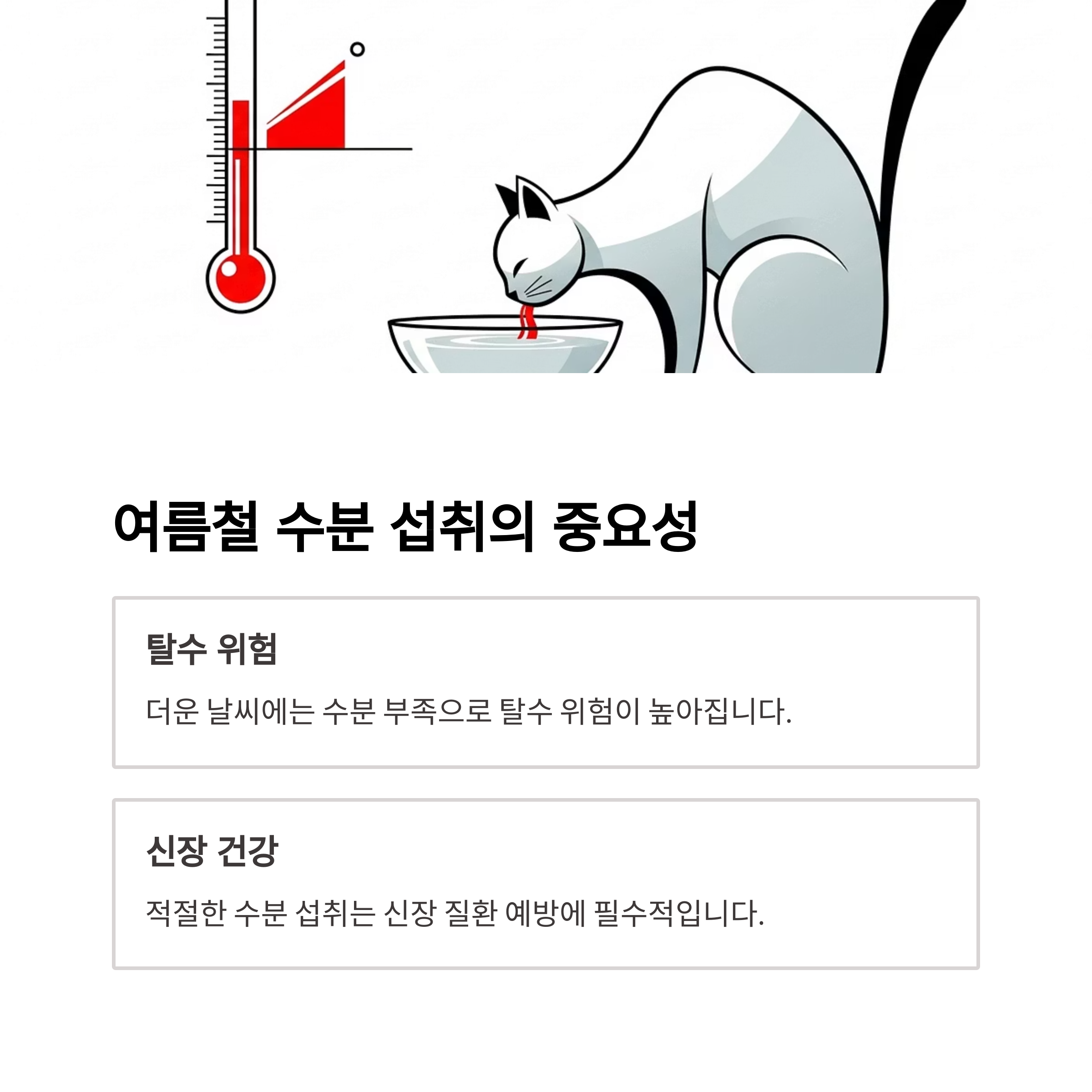 여름철 수분 섭취의 중요성