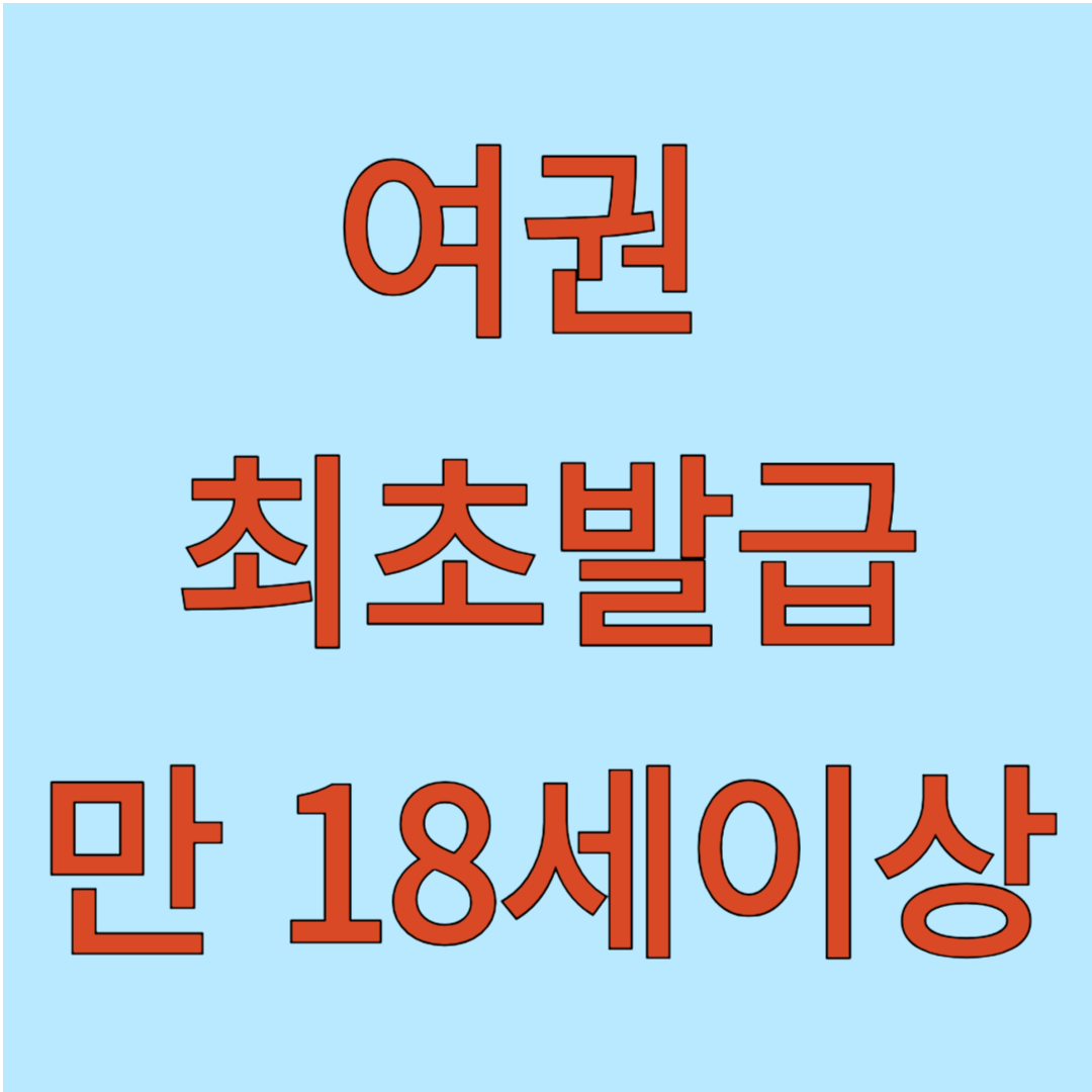 여권 최초발급 만 18세이상