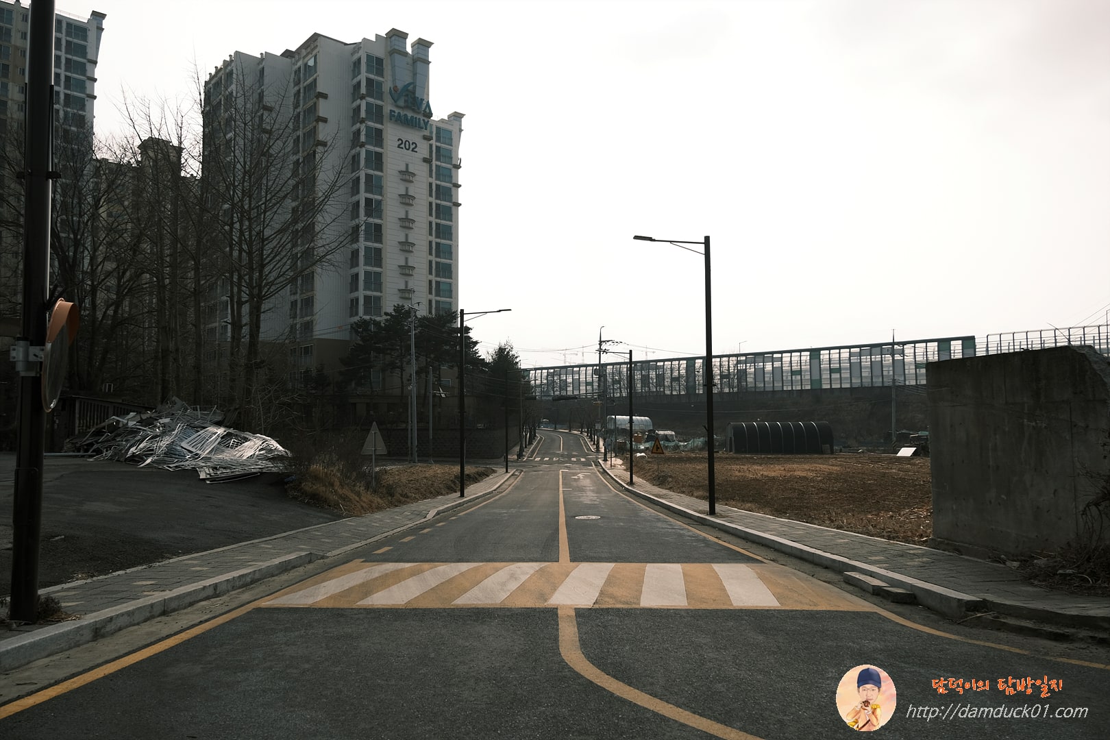 차 없는 차도