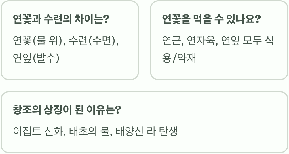 연꽃 꽃말과 상징적 의미 총정리