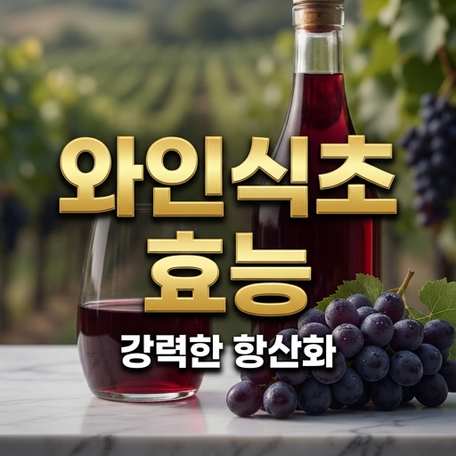 포도밭 배경과 포도 송이, 와인병을 활용하여 강력한 항산화를 강조하는 와인식초 효능 블로그 썸네일