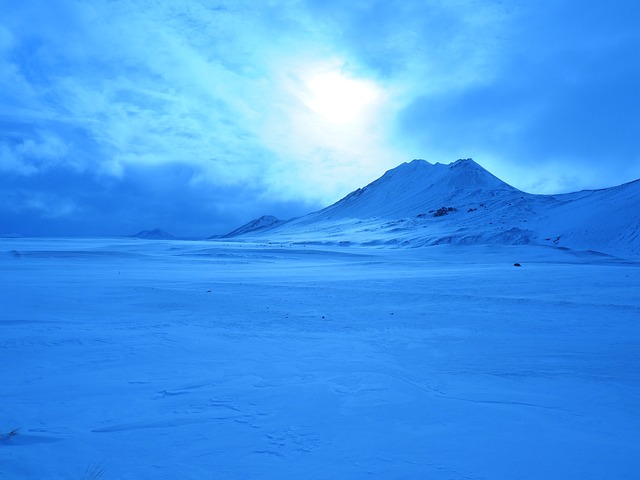 아이슬란드 전통 브레니빈(Brennivín)의 역사와 현대적 해석