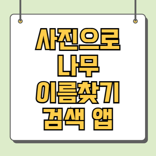 사진으로 나무 이름찾기 검색 앱