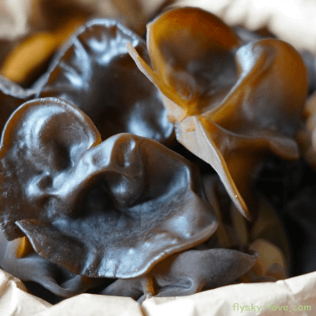 석이버섯 손질하는 법