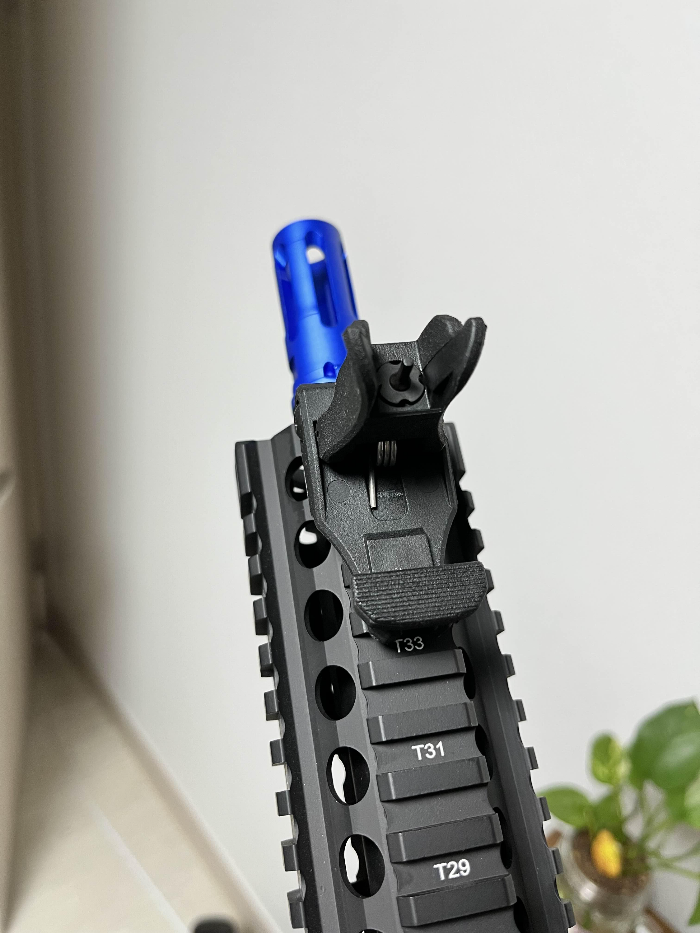 프론트 사이트, 리어사이트