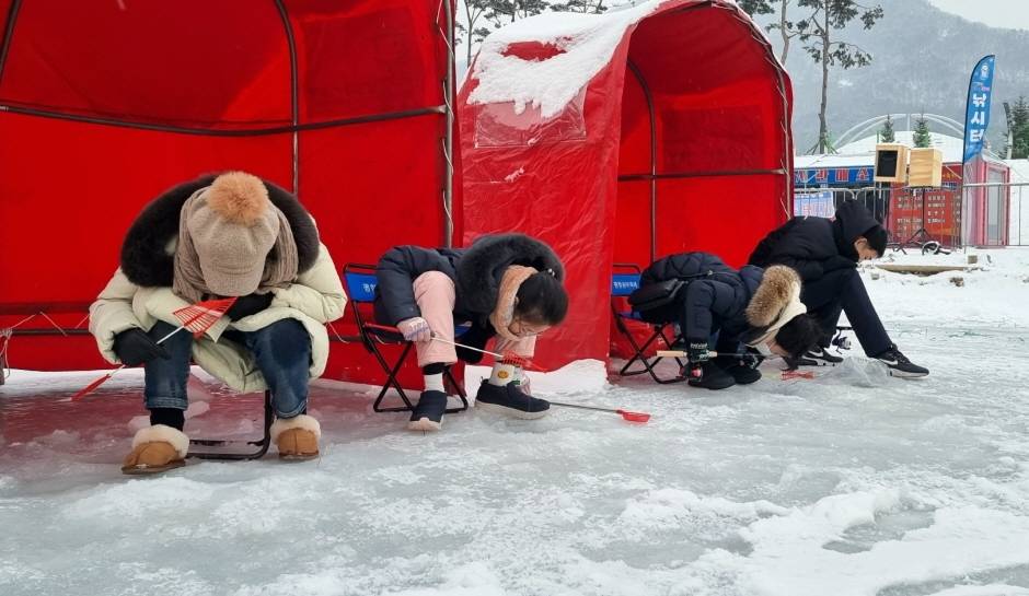 평창 송어 축제 행사 사진2
