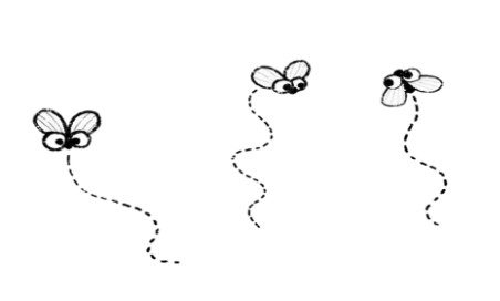 러브버그 퇴치법, 예방법