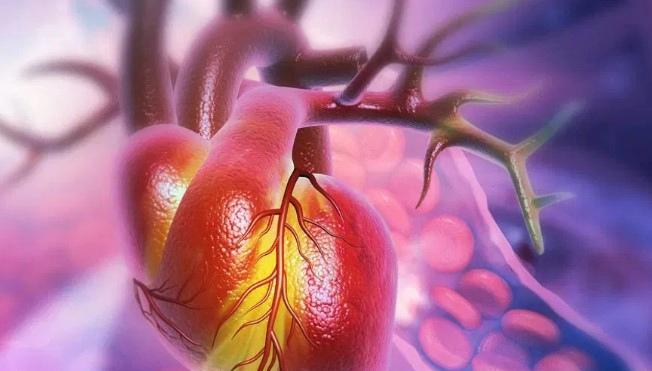 일상에서 혈액순환 잘되는 법