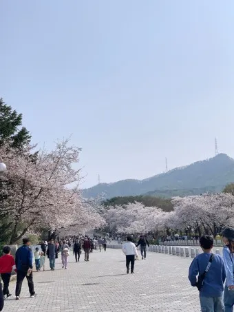 서울대공원 캠핑장 둘레길 동물원 입장료 맛집_12