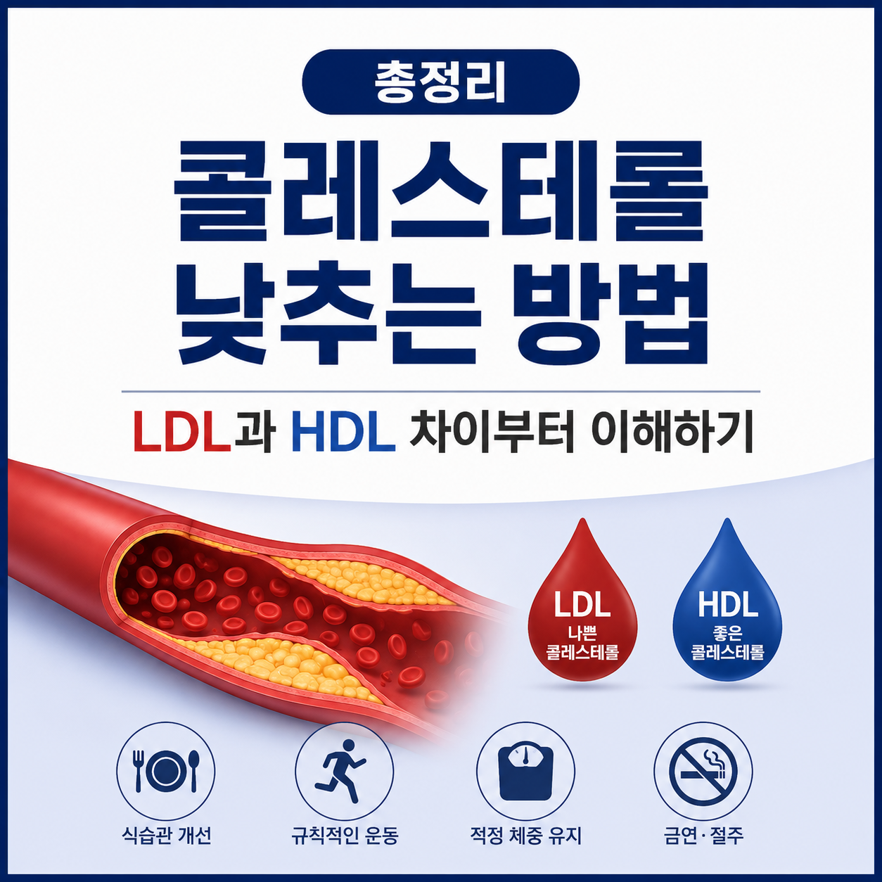 콜레스테롤 낮추는 방법 총정리, LDL과 HDL 차이부터 이해하기